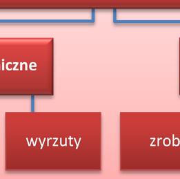 wzrost do 3 minuty później zarejestrował czujnik tlenku węgla zabudowany w