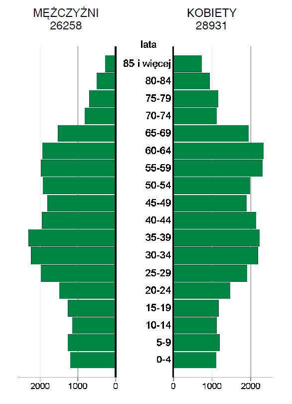 Rysunek 9. Piramida ludności wg płci i wieku w 2017 r.