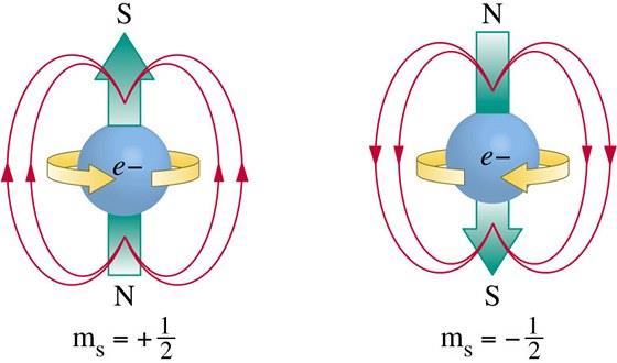 W6. Magnetyczny rezonans jądrowy (NMR) Tak jak elektron, proton i neutron są fermionami o spinie s =1/2.