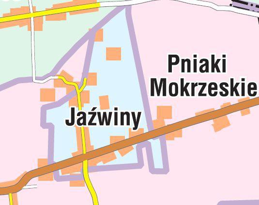 PODOBSZAR D- JAŹWINY Powierzchnia podobszaru Liczba ludności Granice podobszaru Opis podobszaru Identyfikacja potrzeb rewitalizacyjnych 224,04 ha 151 osób W granicach administracyjnych sołectwa