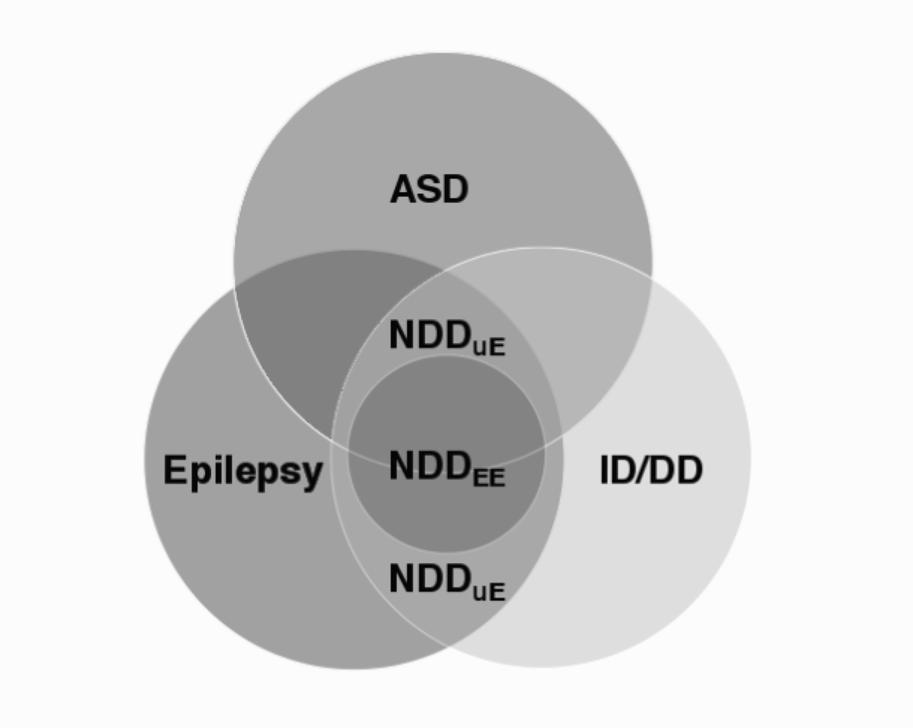 Choroby Neurorozwojowe (NeuroDevelopmental Disorders) Choroby ze spektrum autyzmu (Autism Spectrum Disorders) Padaczka (Epilepsy) Niepełnosprawność intelektualna/ Opóźnienie rozowojowe