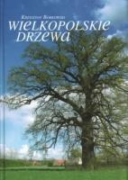 , Patroni wielkopolskich ulic, Wydawnictwo WBP i CAK, Poznań 2006. 3. Anders P.