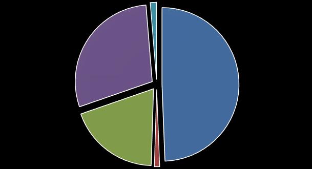 16 3.2. Rynki zbytu segmentacja geograficzna Przychody Grupy Kapitałowej ze sprzedaży eksportowej w I półroczu 2016 r.