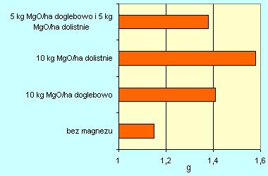 w porównaniu do nawożenia doglebowego w młodocianej fazie rozwojowej kukurydzy (Rycina 6)