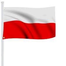 Zapraszamy jeszcze do pracy z obrazkiem- Poszukajcie 5 różnic - narysuj linie po śladzie i doprowadź śmieci do kosza.