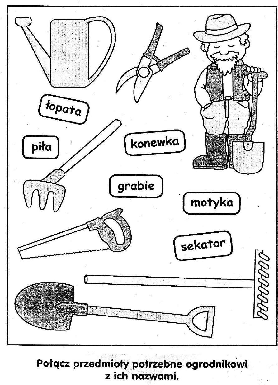 Podziel nazwy narzędzi ogrodniczych na sylaby. Wymień głoski w wyrazie łopata.