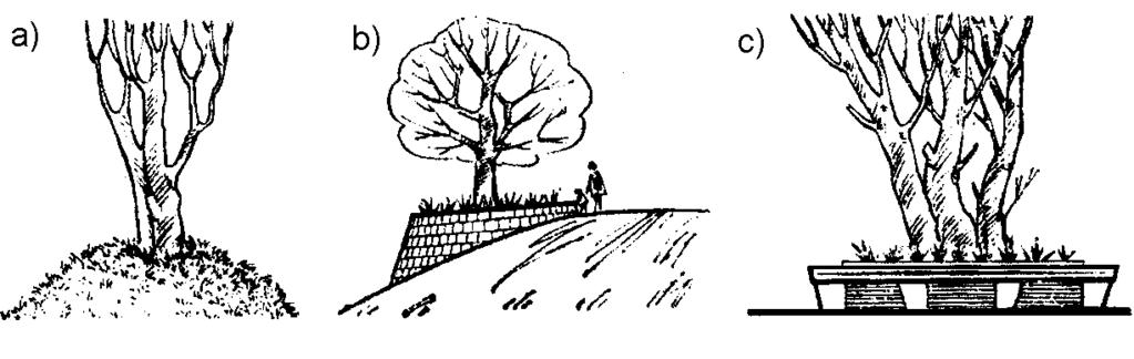 D.01.02.01A Ochrona Istniejących Drzew w Okresie Budowy Drogi str. 33 a) przekrój ogólny, b) szczegół wykopu, c) wstępna faza zabezpieczenia, wykonywana najlepiej rok przed właściwym wykopem Rys. 2.
