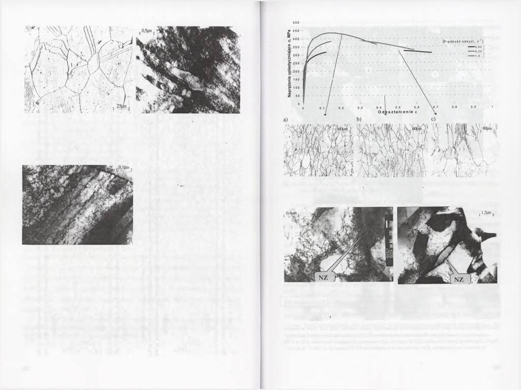 Rys.38. Mikrstruktura stali Cr-Mn dkształcanej w temperaturze 800 C z prędkścią =0,02 s'1: a) zdefektwanie wewnątrz ziarn austenitu; b) bliźniaki dkształcenia zróżnicwanej gęstści dyslkacji Fig. 38.
