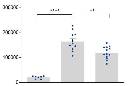 total BAL (CD45+) cell numer (mean with SEM) włóknienie: Ashcroft Score Potwierdzenie ważnej roli CHIT1 w genezie choroby włóknienia płuc zmniejszony stan zapalny płuc (BALf) w modelu mysim