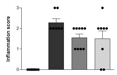 Potwierdzona skuteczność OATD-01 w zwierzęcym modelu choroby (NASH) w modelu NASH (STAM) wykazana skuteczność terapeutyczna OATD-01 OATD-01 obniża aktywność chitynolityczną w osoczu OATD-01 obniża