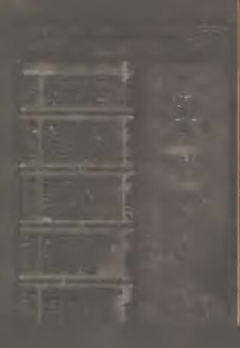 7 P. 8 W. 9 Śr. 10 Cz 11 P. 12 S. 17 po Z. Sw. Brunona, w. Najśw. M P. Różańcowej Brygidy, wdowy; Pelagji Dionizego, Ludwika Zwyc. p Chocimem; Franc. B. Macierzyństwa Najśw. M. P. Maksymiljana; Serafina Ew.