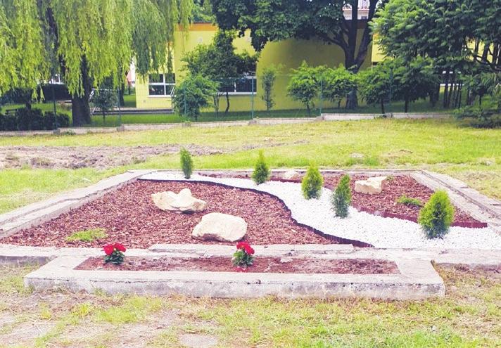 6 www.naszemyslowice.eu czerwiec 2020 r. 660 drzew na 660 urodziny Mysłowic Zielone miasto Rozkręca się zapoczątkowany przez prezydenta Mysłowic pomysł sadzenia 660. drzew na 660. urodziny miasta.
