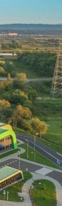 przedsiębiorstwo. Zresztą polskie samorządy, które mają u siebie instalacje do termicznego przetwarzania odpadów, też mówią tylko o zaletach takiego rozwiązania.