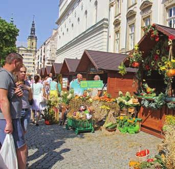 Podziwialiśmy plony naszych działkowców i