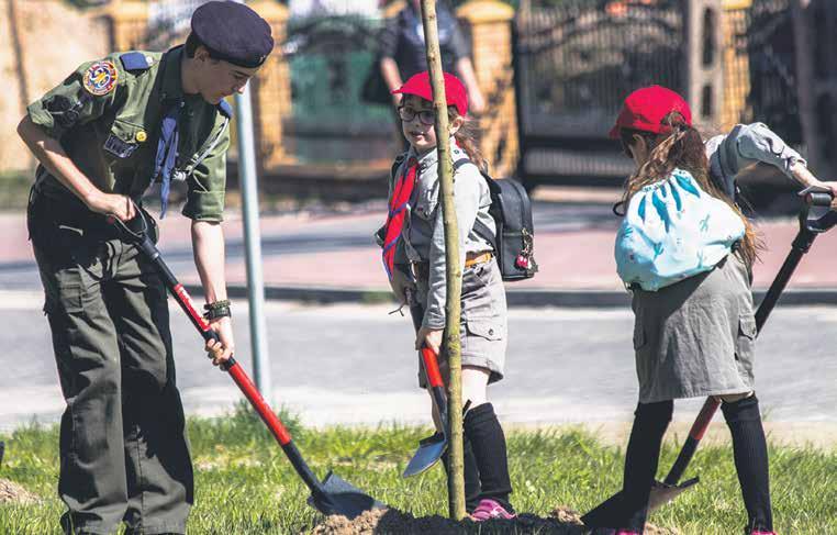 cały tydzień od 16 do 20 kwietnia mieszkańcy Starogardu sadzili drzewa na trawnikach przy ulicach, skwerach, parkingach i na polanach. Wszystkim dużo radości sprawiło nazywanie ich.