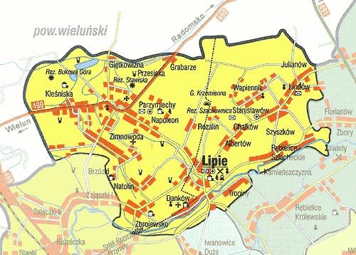 Dziennik Urzędowy Województwa Śląskiego 5 Poz. 6881 2. SYTUACJA DEMOGRAFICZNA GMINY Gmina Lipie położona jest w północnej części województwa śląskiego.