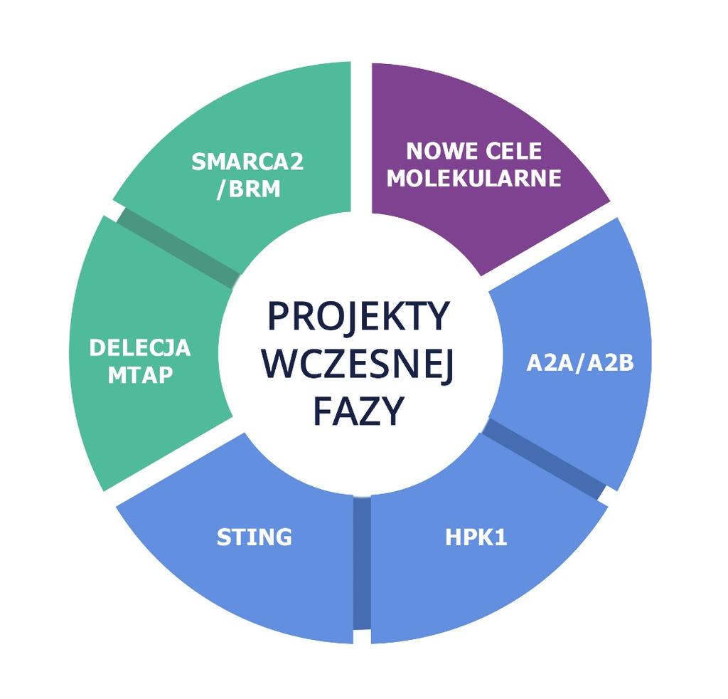 Projekty wczesnej fazy celujące w główne onkogenne ścieżki sygnalizacyjne WEWNĘTRZNIE ROZWIJANE PROJEKTY WCZESNEJ FAZY CELUJĄCE W NOWE CELE MOLEKULARNE W OBSZARACH NIEZASPOKOJONYCH POTRZEB MEDYCZNYCH