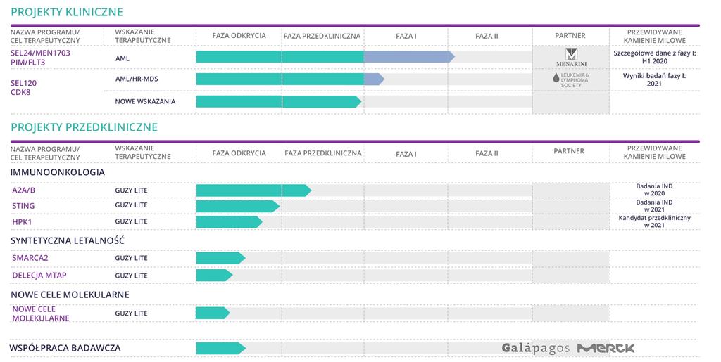Szerokie portfolio innowacyjnych