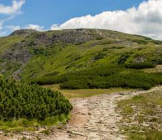 NA GÓRSKIM SZLAKU: WYCIECZKI JEDNODNIOWE BESKID ŻYWIECKI TRASY DO WYBORU: 1: Żywiec - zwiedzanie miasta: rynek, zamek, park zamkowy, wejście na Grojec, Muzeum Browaru Żywiec, Naukotechnika -