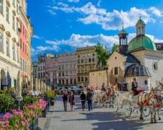 POZOSTAŁE: Sejm, Zamek Królewski i Starówka, Łazienki, Wilanów, Belweder, Pałac Prezydencki, Muzeum Wojska Polskiego, Muzeum Chopina, Centrum Pieniądza, Sąd Najwyższy (zwiedzanie dla klas