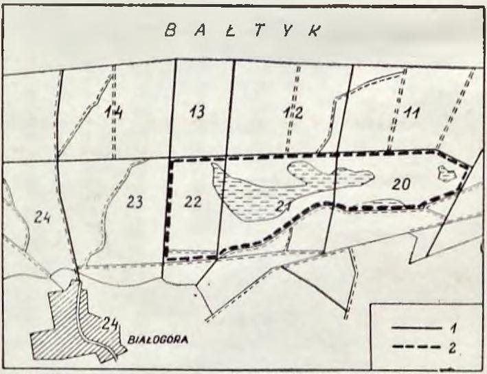 maleje (Czubiński 1950).