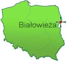 Swoją popularność zawdzięcza przede wszystkim lokalizacji na obszarze Puszczy Białowieskiej, której część stanowi Białowieski Park Narodowy wpisany na listę światowego dziedzictwa UNESCO.