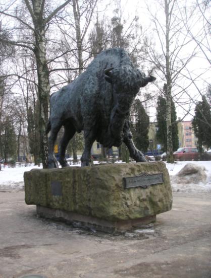 regionalnych, gościom w Białowieży serwuje się z kolei kiszkę ziemniaczaną, doprawioną skwarkami z boczku i przysmażoną cebulką, a na deser podawany jest słodki marcinek, czyli ciasto