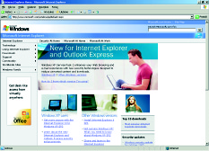 Opcje i narzędzia Przeglądarki: Internet Explorer 6, Mozilla Firefox 1.5 i Opera 8.51 n zintegrowanie z czytnikiem RSS, n personalizacja wyglądu, w tym stosowanie tzw.