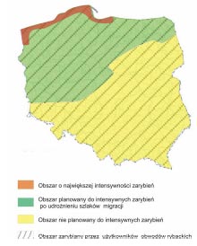 Tabela 1. Harmonogram stosowania środków służących realizacji PGZWP Lp. Rodzaj działania Stan aktualny Po zmianie 1. Zarybianie 2. 3. Ustanowienie okresu ochronnego Udrożnienie szlaków migracji 4.