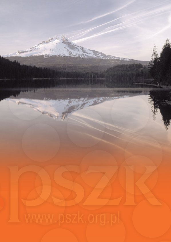 RAPORT POLSKIEGO STOWARZYSZENIA ZARZĄDZANIA