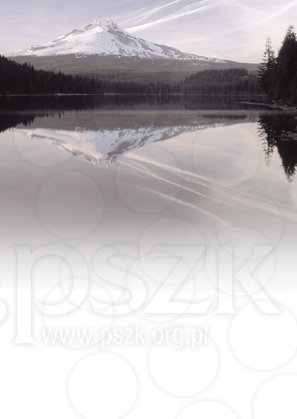 POLSKIE STOWARZYSZENIE ZARZĄDZANIA KADRAMI O STOWARZYSZENIU Polskie Stowarzyszenie Zarządzania Kadrami powstało w maju 1994 roku i jest największą organizacją w Polsce zrzeszającą dyrektorów,