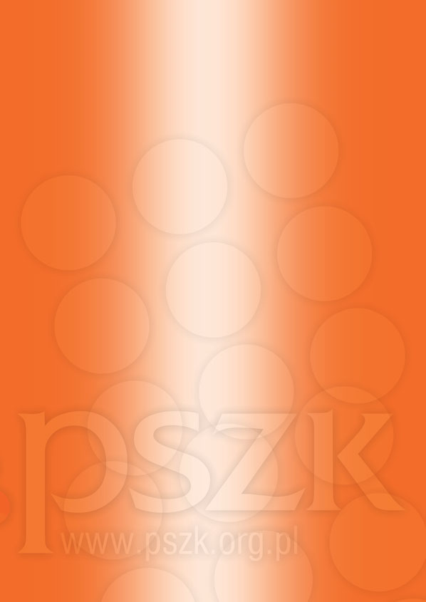 PARTNERZY PSZK projekt graficzny i skład raportu REQUIEM STUDIO / 663 735 922 / requiem@requiem.serpent.