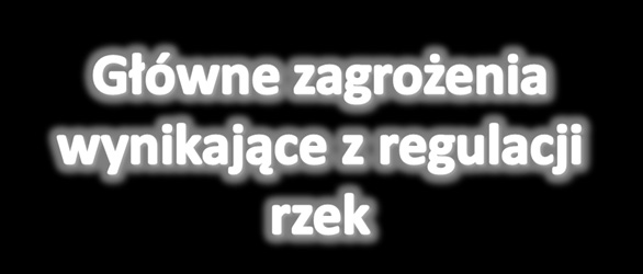 zagwarantowany ciągły przypływ wody, zachowany korytarz ekologiczny, swobodna migracja ryb Naturalny