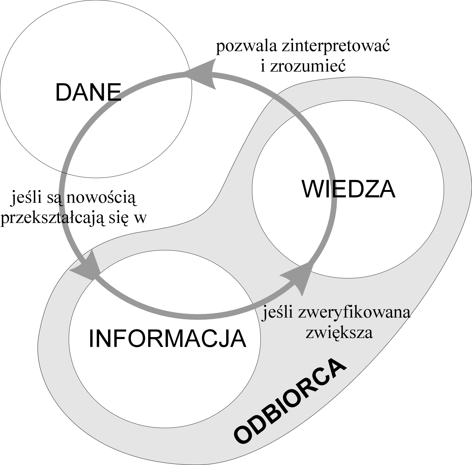 nek wiedzy, który po jego absorpcji stanie się wiedzą odbiorcy. Jednak te same dane mogą stać się podstawą kształtowania wiedzy innego odbiorcy. Rys. 6.