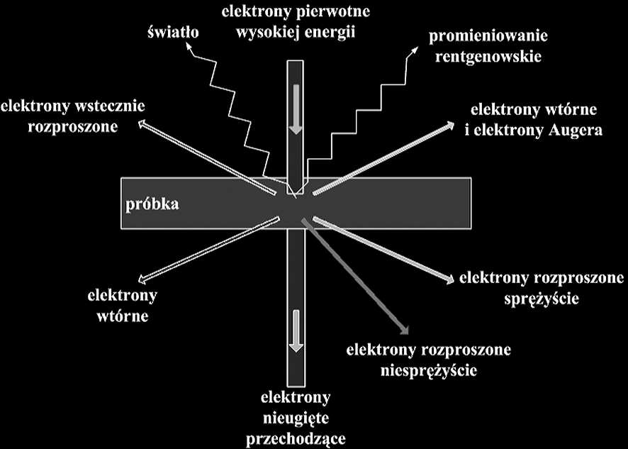 PODSTAWY MIKROSKOPII ELEKTRONOWEJ... Rys. 2. Ogólny schemat przedstawiający oddziaływanie elektronu z materią w przypadku cienkiej próbki(cienka folia)[1,13-15].