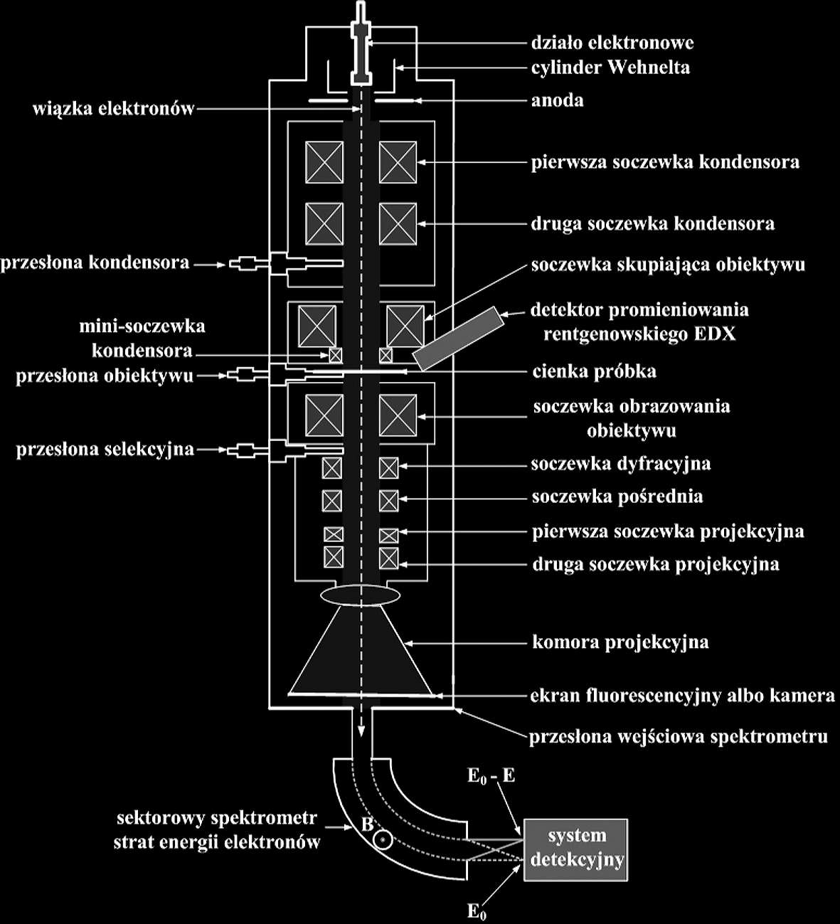 PODSTAWY MIKROSKOPII ELEKTRONOWEJ... pierwotną wiązkę elektronów, ekran, próbkę, urządzenie rejestrujące obraz i ewentualnie inne urządzenia.