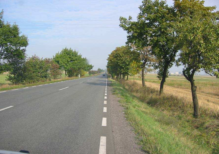 Przykład pobocza w dobrym stanie technicznym. Fot.