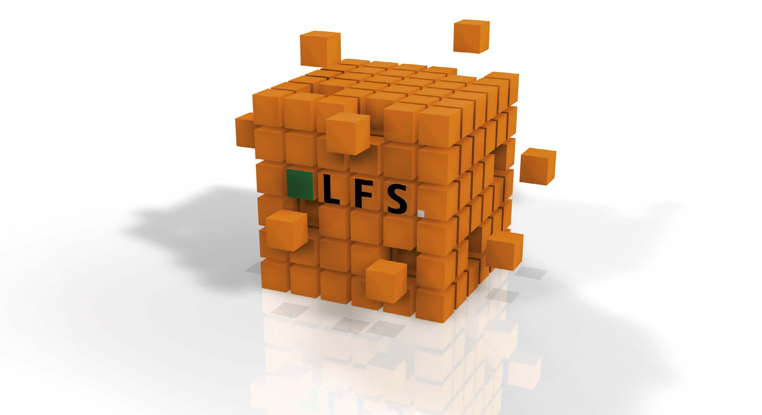 LFS jako centralne rozwiązanie dla Państwa logistyki magazynowej LFS as a central solution for your warehouse logistics Całościowe rozwiązanie dla Państwa własnych definicji zadań Podstawowa wersja