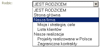 Ad.3. CIEKAWOSTKA. Tworząc menu w naszym serwisie internetowym mamy spore wachlarz możliwości. Z pewnością każdy zna serwis aukcyjny Allegro tam głębokość kategorii nie ma końca.