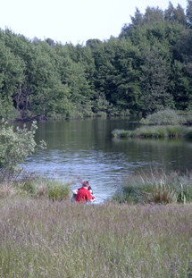 Redukcja stosowania pestycydów na terenach publicznych i w prywatnych ogrodach W 1998r władze Danii zgodziły się na wyeliminowanie pestycydów na terenach będących własnością publiczną do 2003r.