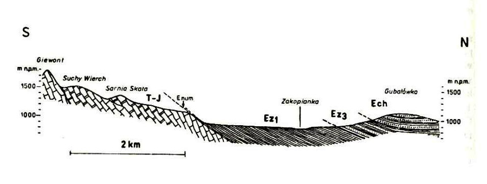 Rów Podtatrzański jest równoleżnikowym obniżeniem powstałym podczas górnego pliocenu i dolnego plejstocenu w miękkich, łupkowych warstwach zakopiańskiego fliszu podhalańskiego przez wody potoków
