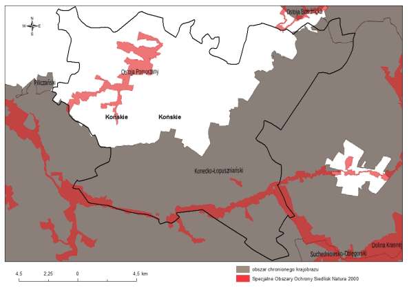 Rysunek 3 Obszary chronione w gminie Końskie 3.14.2.