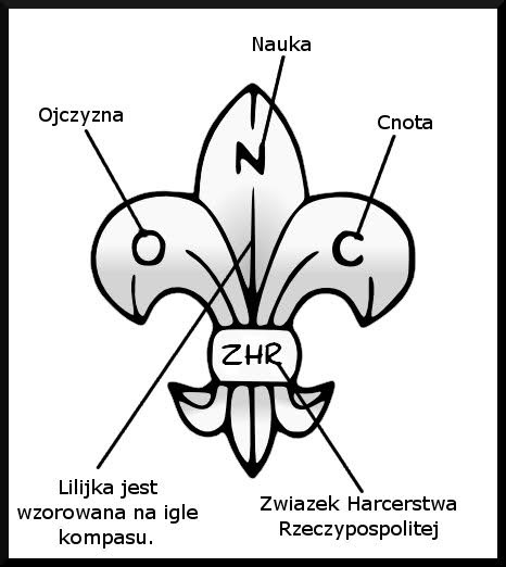 9. Funkcje podzastępowy - szary sznur z brązową beczką spod ramienia, zastępowy-brązowy sznur