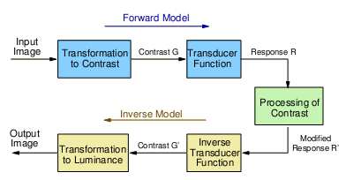 Algorytm Mantiuka Metoda lokalna, również oparta na modelu widzenia HVS.