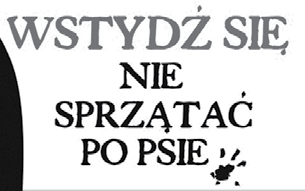 Postój pierwszego dnia zlokalizowany był w Skrzynkach wszyscy mogli odpocząć i posilić się przed wymagającym odcinkiem - zatrzcinionym jeziorem Borówieckim.