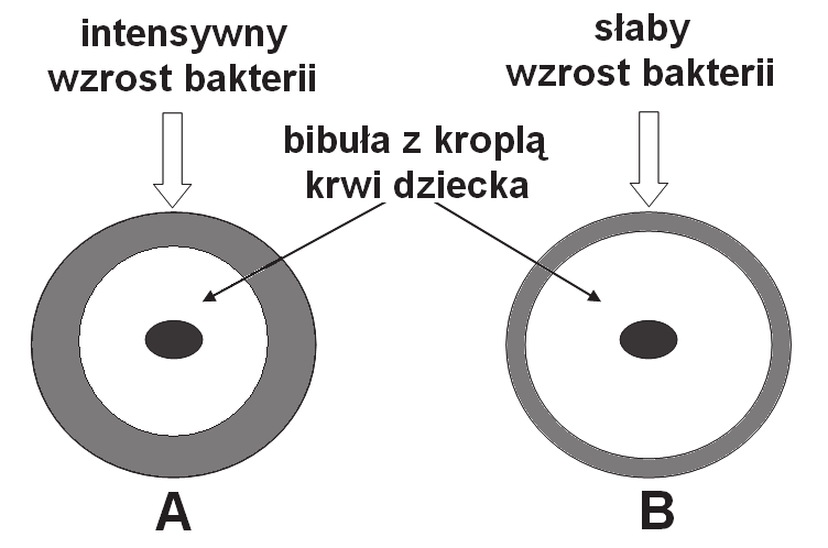 10 Egzamin maturalny z biologii Zadanie 20.