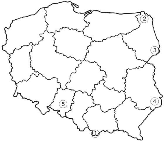 Egzamin maturalny z wiedzy o społeczeństwie 11 C. Oceń przedstawione na wykresie modele małżeństw z perspektywy równouprawnienia. Zadanie 25.