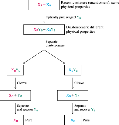 ozził ennjomerów - tworzenie istereoizomerów: 1.