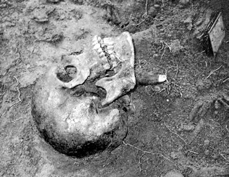 Grave of two German soldiers Izolacji DNA dokonano przy użyciu zmodyfikowanej przez zespół metody preparowania DNA z kości zaproponowanej przez Lebiodę i wsp.