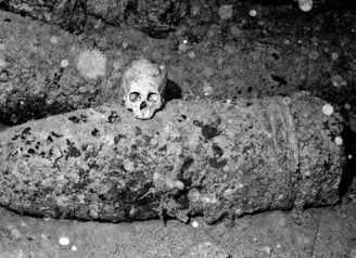 5. Szczątki pochodzące z krypt grobowych Fig. 5. Human remains from a crypt Ryc. 6.